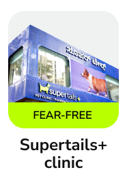 frame_1707515485.webp__PID:5b412e3e-e91d-408c-a91c-e26605d70177