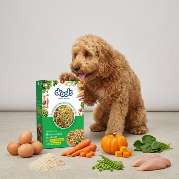 Drools Tetra Pack Real Chicken Veggies Dog Fresh Food