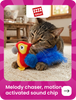 Skatrs Toadly Cute Cotton T shirt for Dogs and Cats Both-Clothing & Accessories Skatrs