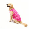 Skatrs Cotton Shirt for Dogs and Cats (Hot Pink and White) Both-Clothing & Accessories Skatrs