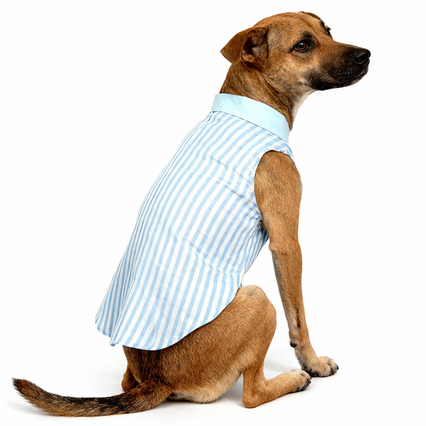 Skatrs Cotton Shirt for Dogs and Cats (Blue and White Stripes)