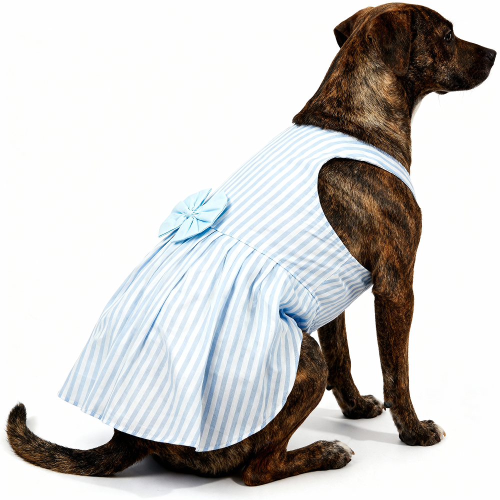 Skatrs Cotton Dress for Dogs and Cats (Blue and White Stripe) Both-Clothing & Accessories Skatrs
