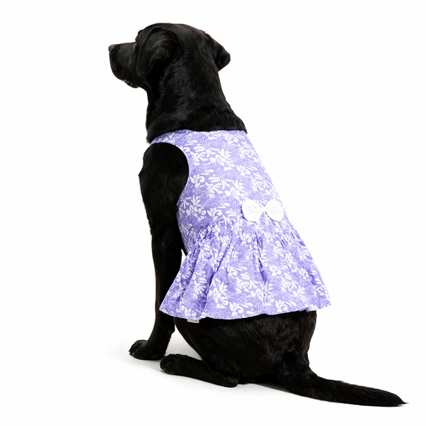 Skatrs Cotton Dress for Dogs and Cats (Lavender and White)