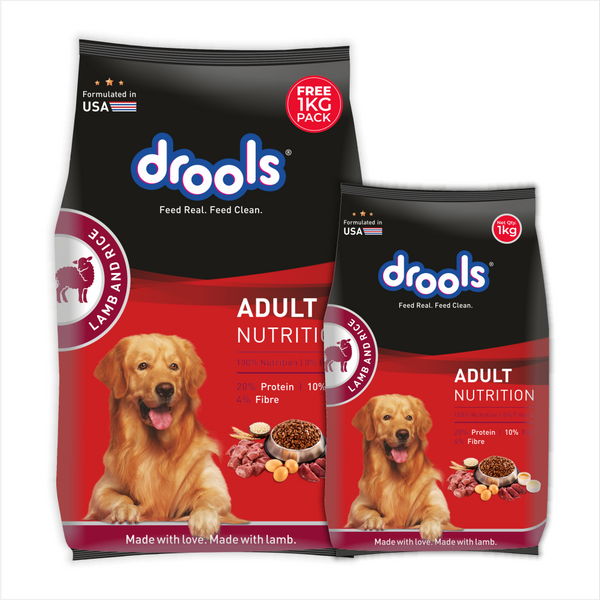 Drools Lamb and Rice Adult Dog Dry Food