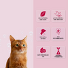 Natural Remedies Avocado & Grape Seed Oil Fursheen Shampoo for Cats Cats-Grooming Supplies Natural Remedies