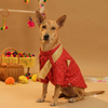 15 Furries Furwali Festival Kurta with Dupatta for Dogs (Royal Red) Dogs-Clothing & Accessories 15 Furries Dropship