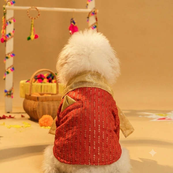 15 Furries Furwali Festival Kurta with Dupatta for Dogs (Royal Red)