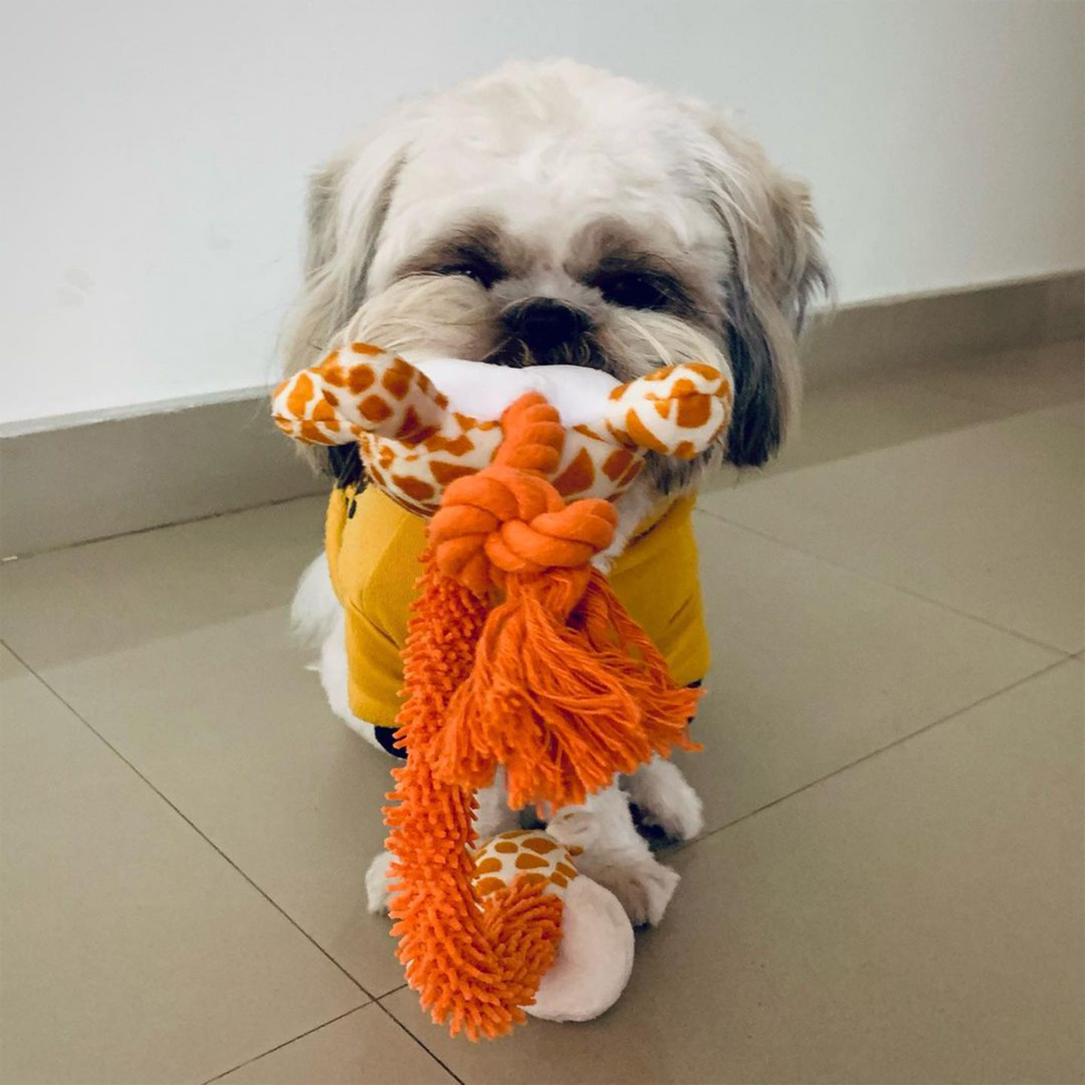 Barkbutler Garry The Giraffe Plush Toy for Dogs | For Soft Chewers Dogs-Toys Barkbutler