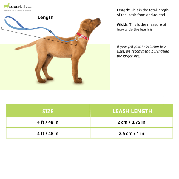 Glenand Petz Pure Nylon Padded Leash for Dogs (Light Blue)