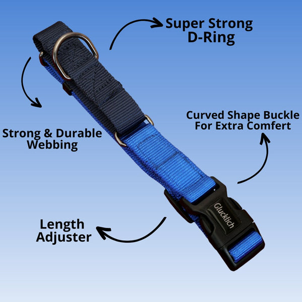 Glucklich Classic Nylon Martingale Adjustable Collar for Dogs (Royal Blue)