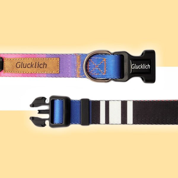Glucklich Polyester Printed Adjustable Collar for Dogs (Dark Night)
