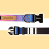 Glucklich Polyester Printed Adjustable Collar for Dogs (Dark Night)