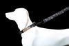 Glucklich Polyester Printed Adjustable Collar for Dogs (Green Forest)