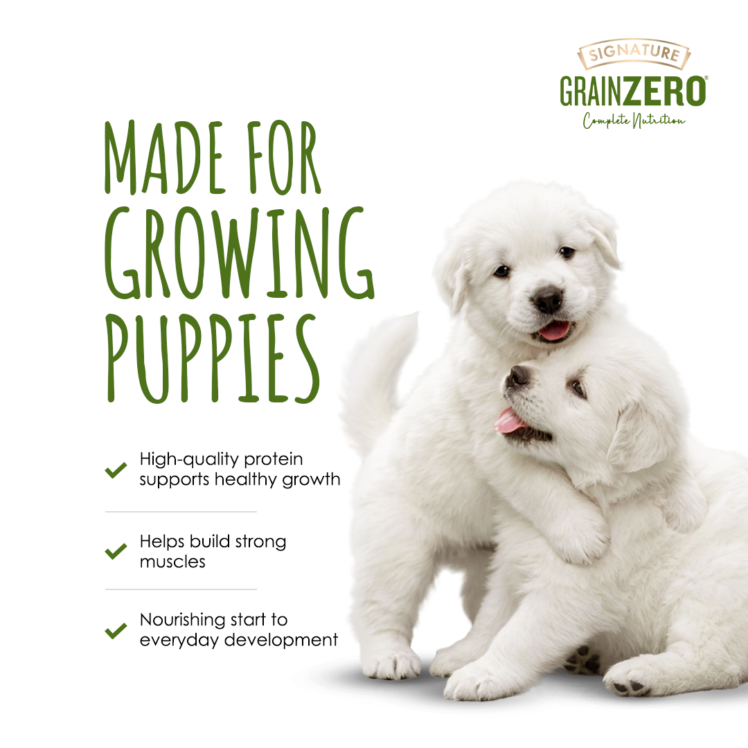 Signature Grain Zero Real Chicken Chunks Gravy Puppy Dog Wet Food