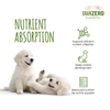 Signature Grain Zero Real Chicken Chunks Gravy Puppy Dog Wet Food Dogs-Wet Food Signature
