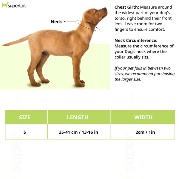 Hunter Solid Education Cord Collar for Dogs (Dark Brown)