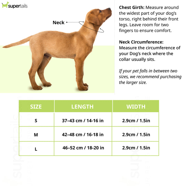 Hunter Softie Triluxe Collar for Dogs (Black)
