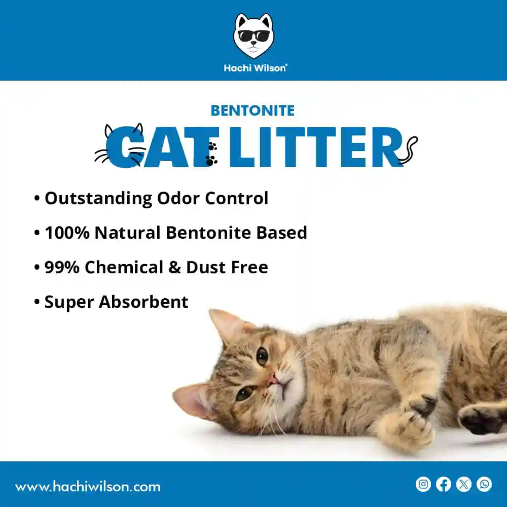 Hachi Wilson Premium Natural Bentonite White Sand Cat Litter