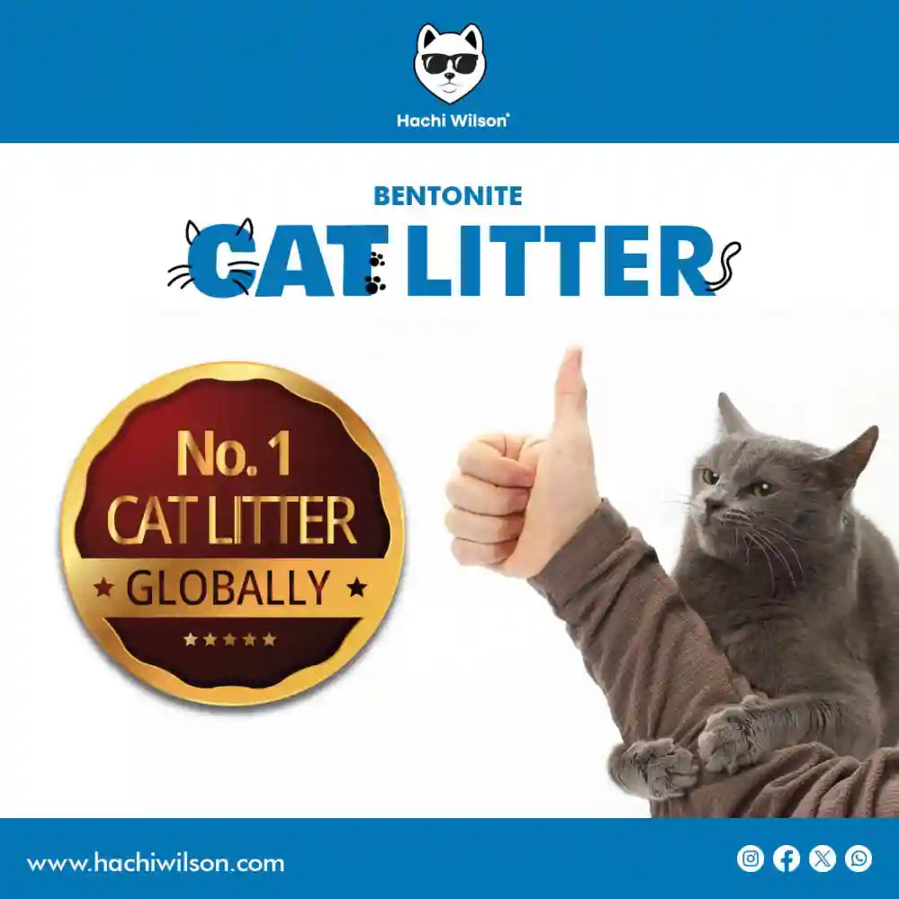 Hachi Wilson Premium Natural Bentonite White Sand Cat Litter