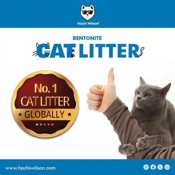 Hachi Wilson Premium Natural Bentonite White Sand Cat Litter