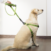 Skatrs Adventure in Style & Comfort Tropical Leash for Dogs and Cats (Green) Both-Collar, Leashes, harnesses Skatrs
