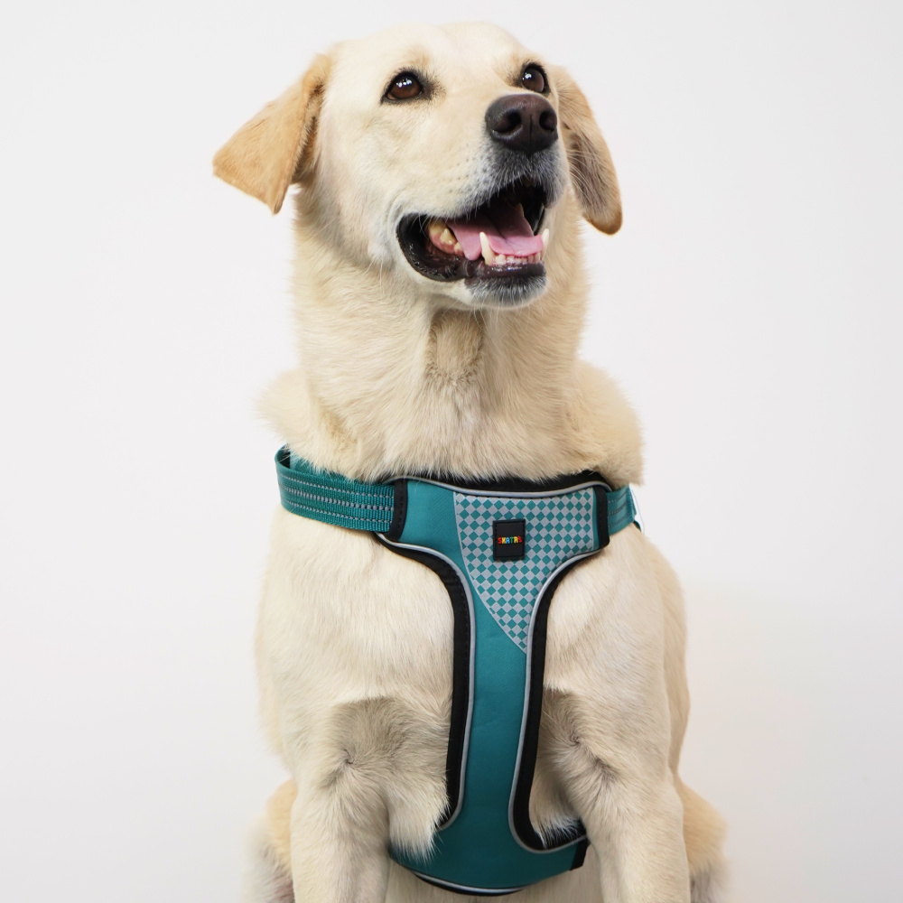 Skatrs Adventure in Style & Comfort Ocean Wave Padded Harness for Dogs (Blue) Dogs-Collar, Leashes, harnesses Skatrs S:12-16.5in Chest