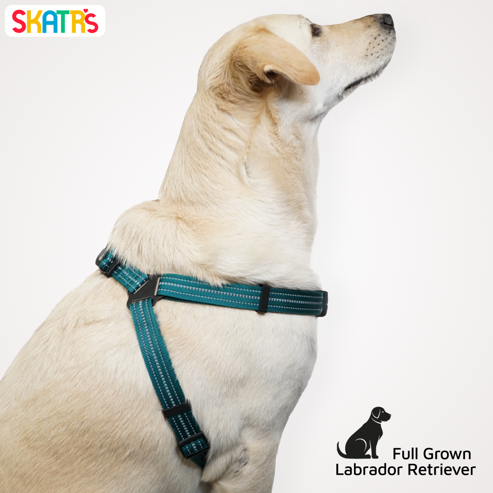 Skatrs Adventure in Style & Comfort Ocean Wave Padded Harness for Dogs (Blue) Dogs-Collar, Leashes, harnesses Skatrs