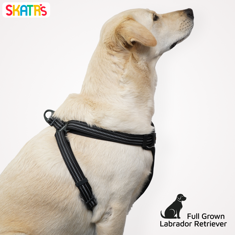Skatrs Adventure in Style & Comfort Eclipse Padded Harness for Dogs (Black) Dogs-Collar, Leashes, harnesses Skatrs