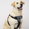 Skatrs Adventure in Style & Comfort Eclipse Padded Harness for Dogs (Black) Dogs-Collar, Leashes, harnesses Skatrs S:12-16.5in Chest