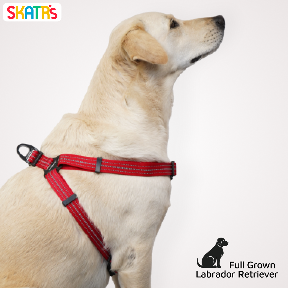 Skatrs Adventure in Style & Comfort Fiery Padded Harness for Dogs (Red) Dogs-Collar, Leashes, harnesses Skatrs