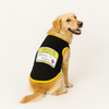 PawsIndia Hello I&