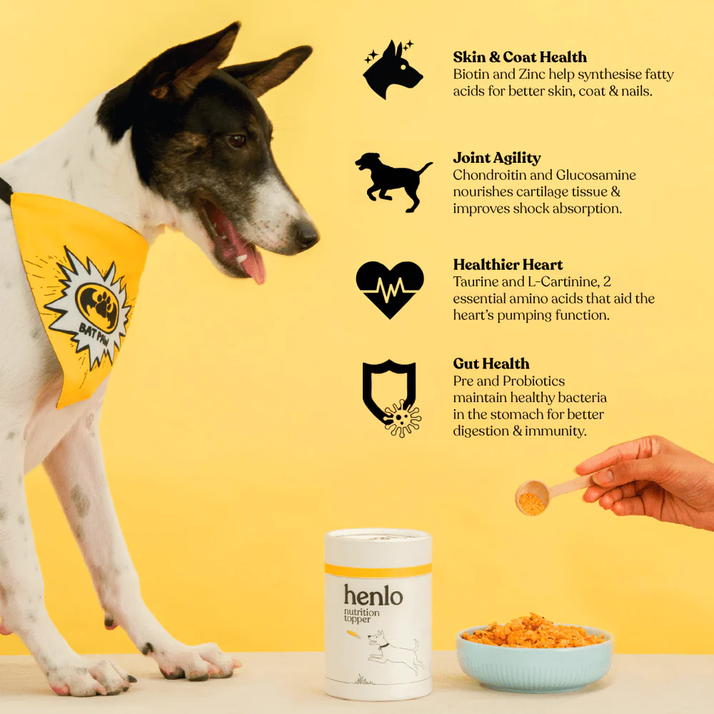 Henlo Everyday Topper for Home Cooked Food | Balanced Nutrition for Dogs