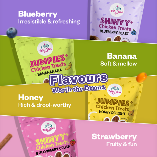 Tails Alive Jumpies+ Honey Delight Chicken Treat Sticks for Dogs