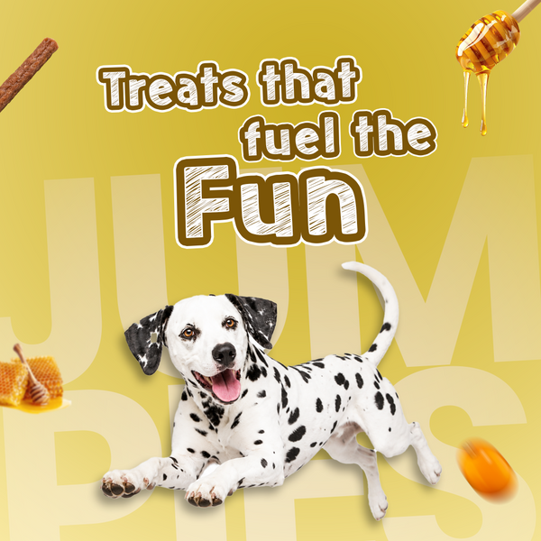 Tails Alive Jumpies+ Honey Delight Chicken Treat Sticks for Dogs