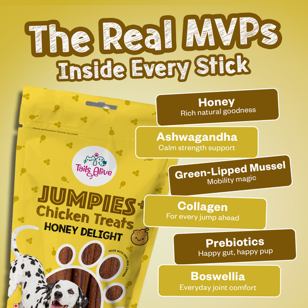 Tails Alive Jumpies+ Honey Delight Chicken Treat Sticks for Dogs