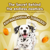 Tails Alive Jumpies+ Honey Delight Chicken Treat Sticks for Dogs Dog Treats + Others TailsAlive