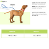 Hunter Softie Leash for Dogs (Brown)