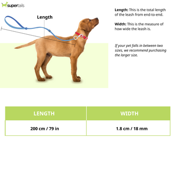 Hunter Swiss Training Leash for Dogs (Tan)