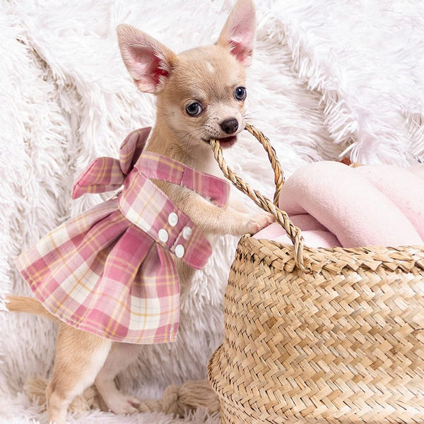 KUTKUT Plaid Dress with Bow Tie Harness Leash Set for Small Dogs & Cats (Pink)