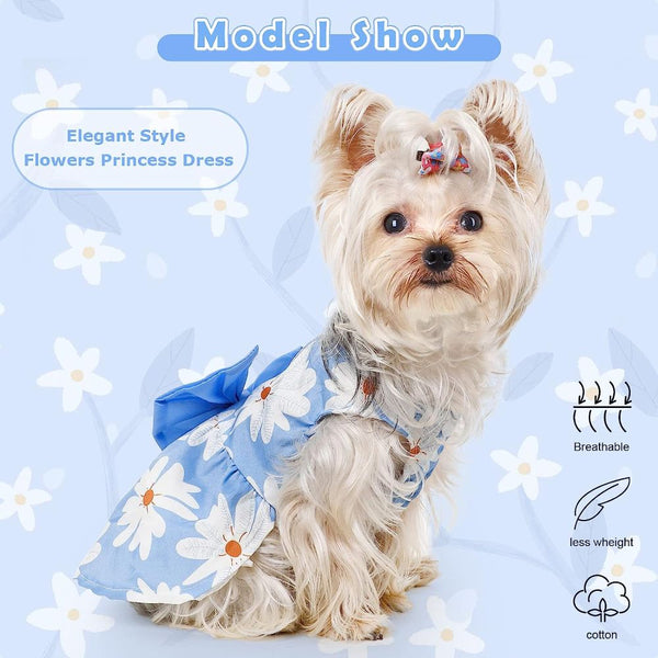 KUTKUT Daisy Patterned Princess Frock with Lovely Bow for Small Dogs and Cats (Blue)