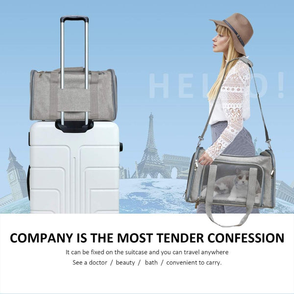 KUTKUT Soft Sided Airline Approved Collapsible Travel Carrier for Small Dogs & Cat (Grey)