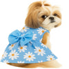 KUTKUT Daisy Patterned Princess Frock with Lovely Bow for Small Dogs and Cats (Blue) Dogs-Clothing & Accessories KUTKUT Dropship
