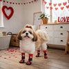 KUTKUT Adjustable Elastic Strapped Anti Slip Grip Paw Socks for Dogs (Red) Dogs-Clothing & Accessories KUTKUT Dropship