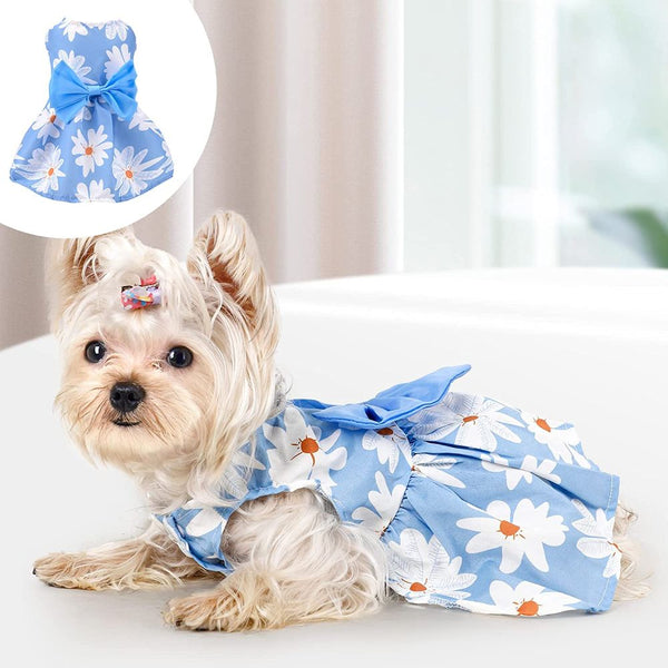 KUTKUT Daisy Patterned Princess Frock with Lovely Bow for Small Dogs and Cats (Blue)