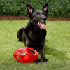 Kong Jumbler Football Toy for Dogs (Sea Blue) Dogs-Toys Kong