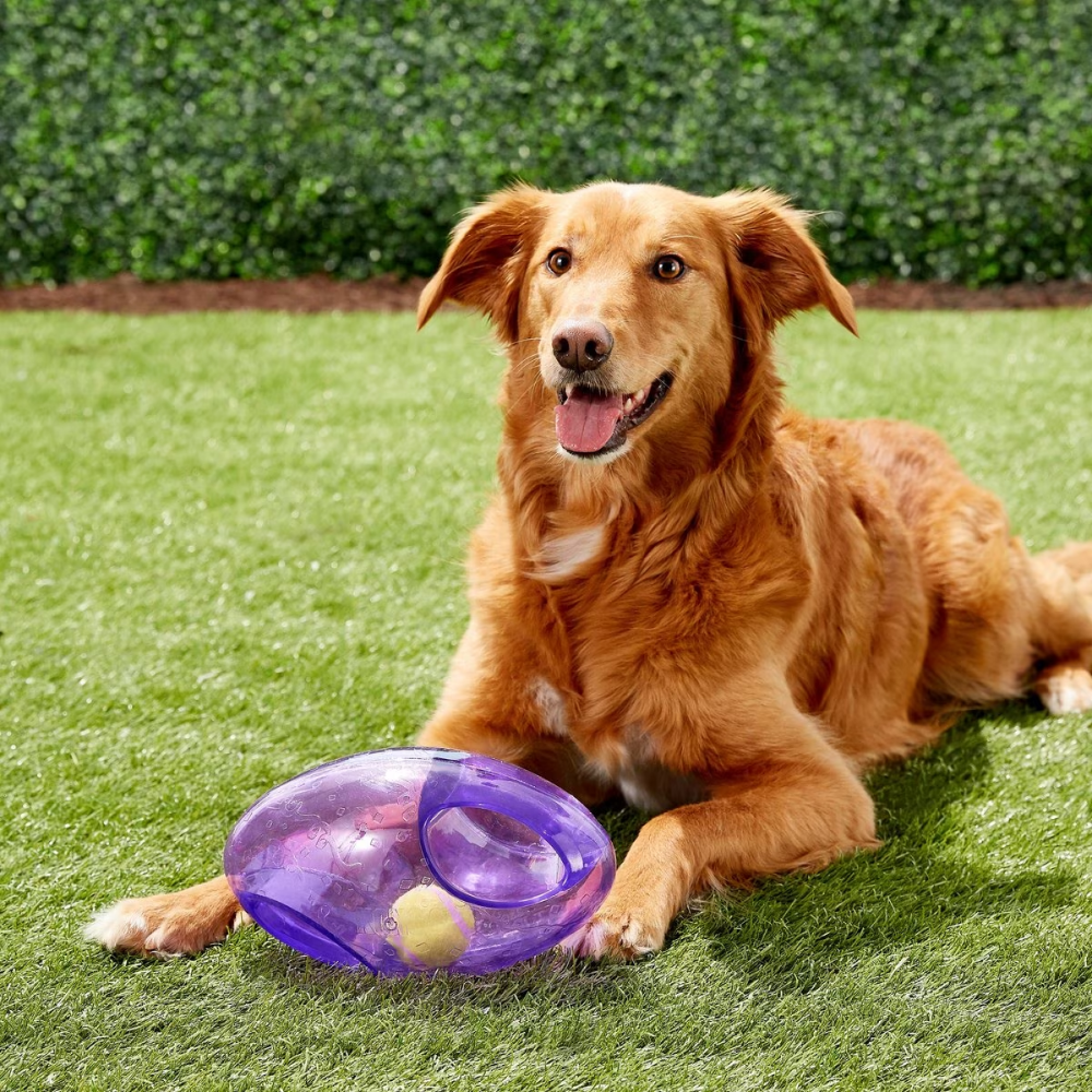 Kong Jumbler Football Toy for Dogs (Purple)