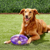 Kong Jumbler Football Toy for Dogs (Sea Blue) Dogs-Toys Kong