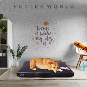 Petter World Comfort Flat Cushion Bed for Dogs (Autumn Grey)