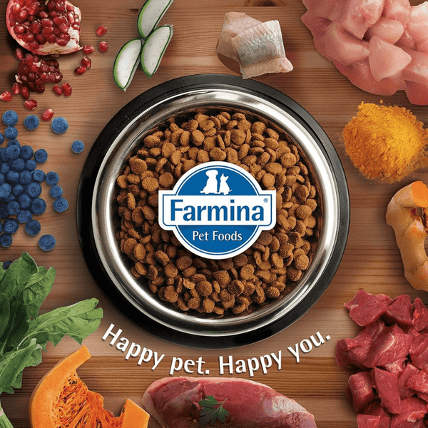 Farmina N&D Quinoa Quail Coconut & Turmeric Skin & Coat All Breed Dog Dry Food