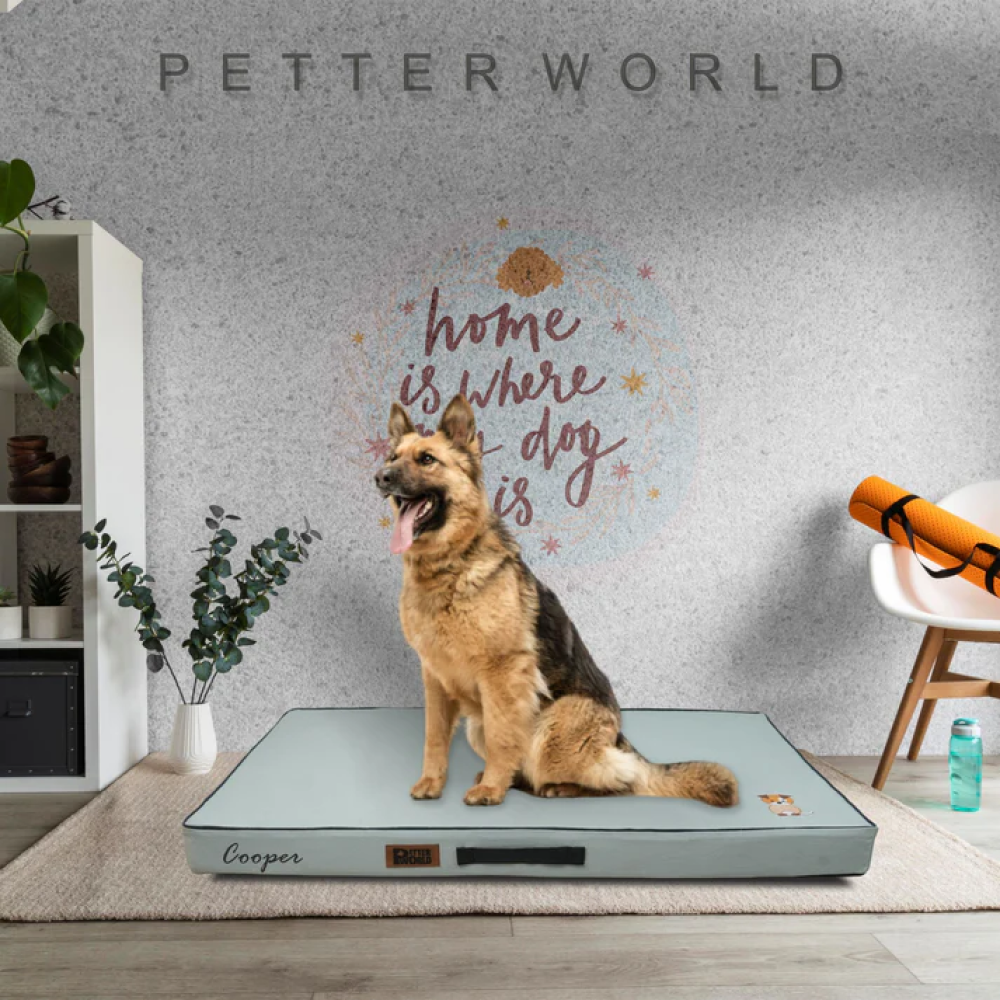 Petter World Comfort Flat Foam Bed for Dogs (Celeste Green)